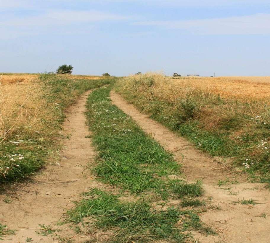 ZAGOSPODAROWANIE POSCALENIOWE LIKWIDACJA I