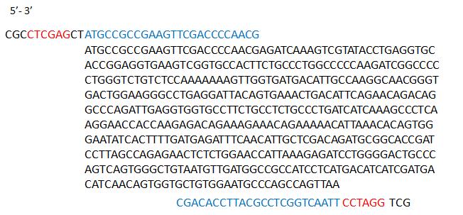 w ramce odczytu w MCS wektora należy,,dodać dwa nukleotydy przed sekwencją rozpoznawaną przez pierwszy enzym restrykcyjny. Starter tzw. reverse, musi być komplementarny do nici DNA 5-3.