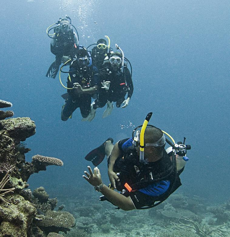 BEZPIECZEŃSTWO NURKÓW + EDUKACJA PADI OPEN WATER SCUBA INSTRUCTOR WSPINAJ SIĘ PO SZCZEBLACH KARIERY DZIĘKI KURSOWI PADI INSTRUCTOR DEVELOPMENT COURSE* Jako PADI Open Water Scuba Instructor zyskasz