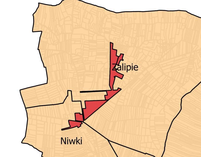 Podobszar 1 ZALIPIE-NIWKI Zajmuje on część sołectw Zalipie i Niwki i obejmuje powierzchnię: 0,31 km 2, co stanowi 3,1% ich powierzchni. Obszar rewitalizacji zamieszkuje ok. 312 osób.