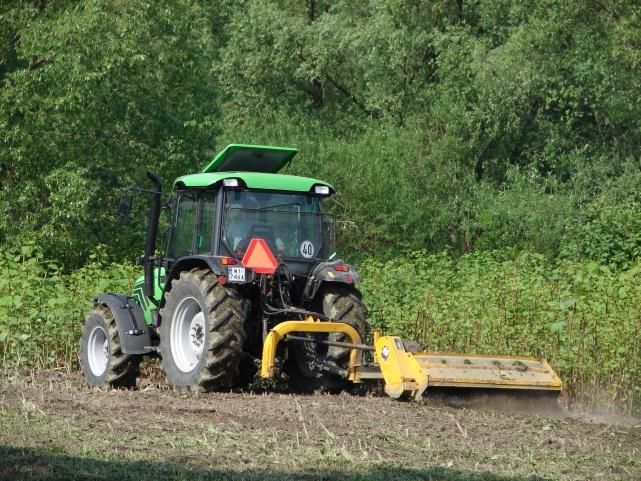 Metody i koszty zwalczania Rodzaj zabiegu Koszt w przeliczeniu na m 2 w funtach brytyjskich wykopywanie + oprysk 14 wykopywanie + 2 oprysk 26 powtórzenie zabiegu 2 w roku przez 3 lata 53 usunięcie