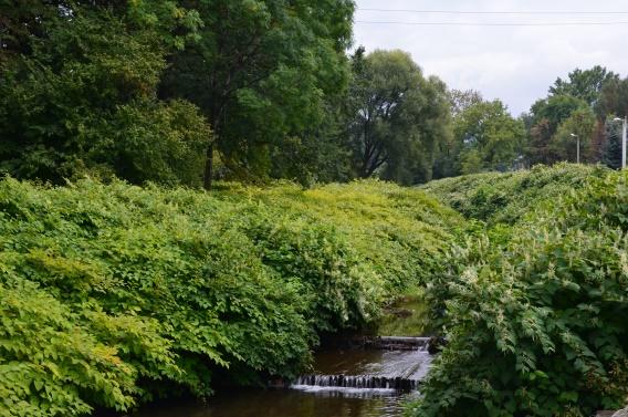 Najbardziej skuteczną metodą ograniczającą rozprzestrzenianie się