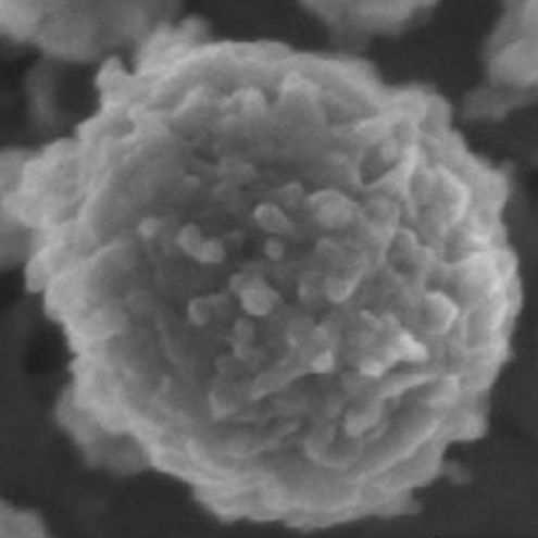 Rys. 10. Zdjęcie miceli kazeiny(mikroskop elektronowy) P. Hristov, I. Mitkov, D. Sirakova, I. Mehandgiiski, G.