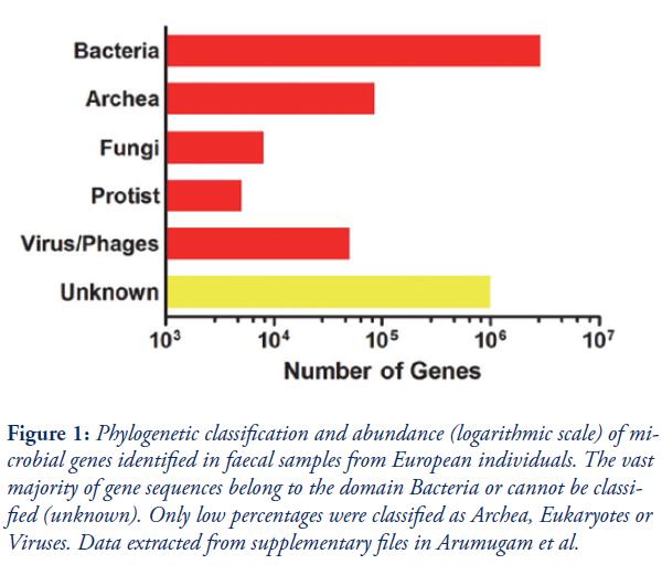 MIKROBIOTA PRZEWODU POKARMOWEGO mikroflora jelitowa składa się z ponad 1000
