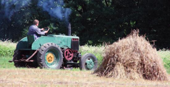 - Zdjęcia do Żeńców kręcono w Muzeum Wsi Radomskiej przez trzy dni lipca, gdyż w tym miejscu znajdują się chaty kryte strzechą, jest młyn wodny, młockarnia na chodzie z 1942 roku i traktor Ursus z