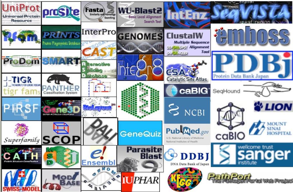 Biological databases play a central role in bioinformatics.