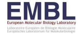 http://www.embl-heidelberg.