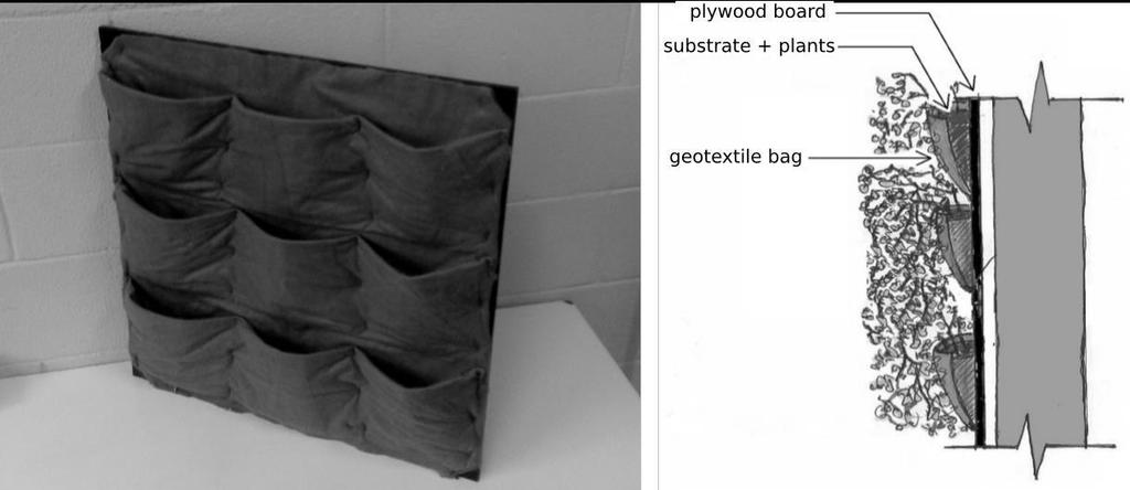 Rys. 56 Zielona ściana: sklejka + geowłóknina z kieszeniami wypełnionymi podłożem porośniętym roślinnością (źródło: Acoustic properties of green walls: Absorption and insulation; Rodolfo Thomazelli,