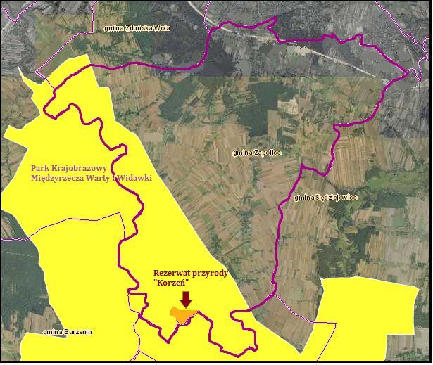 Rysunek 3. Położenie Parku Krajobrazowego Międzyrzecza Wart i Widawki oraz Rezerwatu Przyrody Korzeń na tle gminy Zapolice. Źródło: http://geoserwis.gdos.gov.
