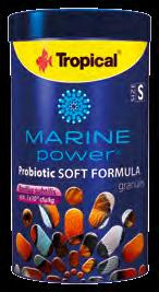 MARINE POWER Gel Formula for Marine Fish and Invertebrates ŚWIATOWA PREMIERA! MARINE POWER Probiotic Soft Formula size S, M, L ŚWIATOWA PREMIERA!