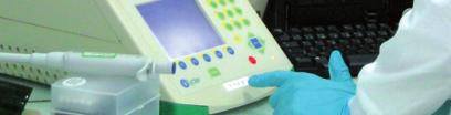 Przeanalizowano profile ekspresji genów, stosując test ilościowy PCR w czasie rzeczywistym (reakcję łańcuchową polimerazy), który umożliwia łatwe wykrycie i dokładne zliczenie wybranych