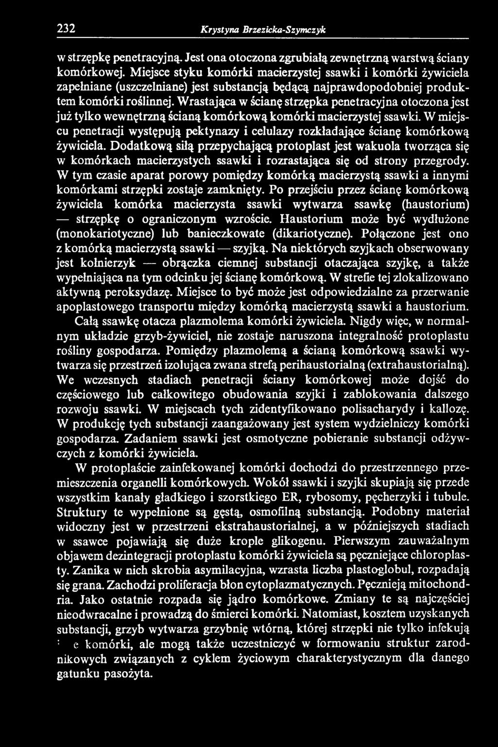 Dodatkową siłą przepychającą protoplast jest wakuola tworząca się w komórkach macierzystych ssawki i rozrastająca się od strony przegrody.