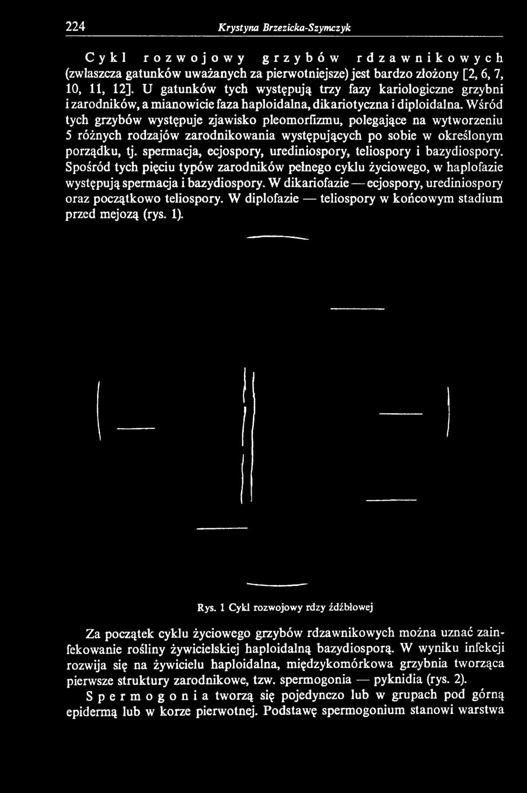 Wśród tych grzybów występuje zjawisko pleomorfizmu, polegające na wytworzeniu 5 różnych rodzajów zarodnikowania występujących po sobie w określonym porządku, tj.