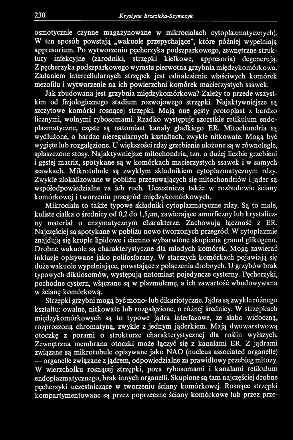 Rzadko występuje szorstkie retikulum endoplazmatyczne, częste są natomiast kanały gładkiego ER. Mitochondria są wydłużone, o bardzo nieregularnych kształtach, zwykle nitkowate.