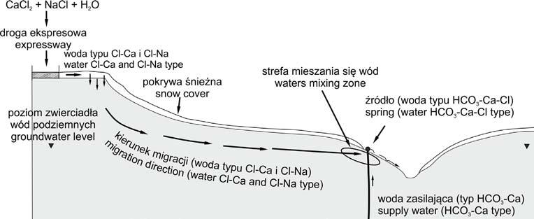 Własności fizykochemiczne wód źródlanych z rezerwatu Morzyk w Grodźcu Śląskim 177 Nie można wykluczyć natomiast wzbogacenia w Cl analizowanych wód na drodze antropogenicznego zanieczyszczenia.