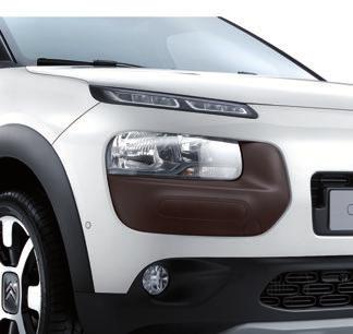 C4 CACTUS