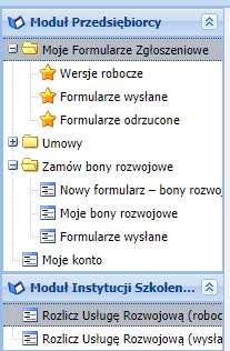 Wskazówki techniczne do wypełniania formularza 1. W Generatorze Formularzy dostępne są 3 rodzaje formularzy.