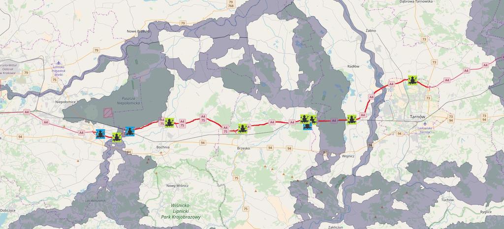 Wyniki monitoringu przejść największa aktywność zwierząt w przejściach pod mostami autostradowymi Rys.3.