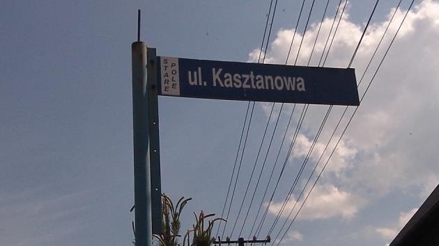 3.6 ULICA KASZTANOWA PARAMETR: WYNIK BADANIA Kategoria oświetleniowa S 4 Nawierzchnia drogi Płyta betonowa Szerokość drogi 4 m Typ słupa Betonowy ŻN Ilość słupów 2 Wysokość słupa 7 m Odległość od