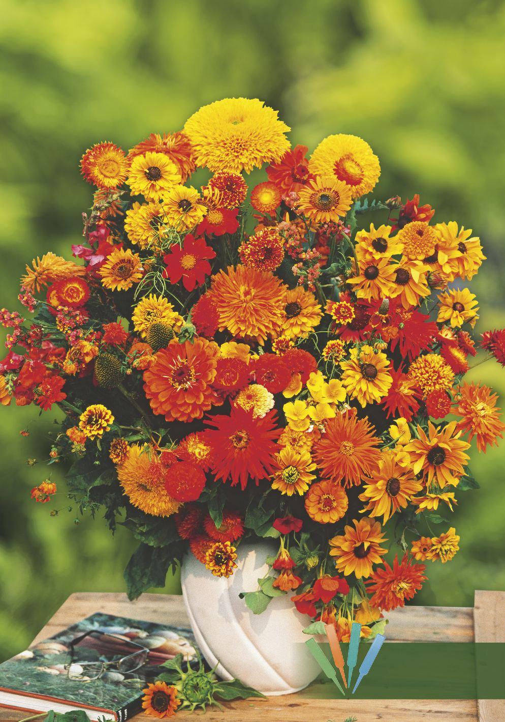 KATALOG JUBILEUSZOWY Dziękujemy za wspólne 30 lat WIOSNA 2019 Nasiona kwiatów i warzyw POMARAŃCZOWA MIESZANKA BUKIETOWA 30-100 cm VI-IX 00-894 1 op.