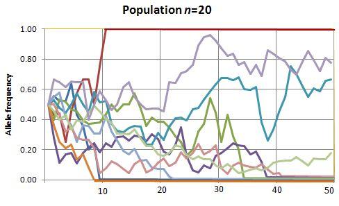 Symulacje dryfu Zmiany częstości alleli są większe i zachodzą szybciej w mniejszych populacjach.