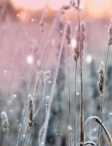 SKLEPÓW) WIDOCZNE PIERWSZE EFEKTY OPTYMALIZACJI KOSZTOWEJ