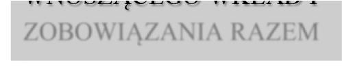 868 498 038 983 780 985 ZOBOWIĄZANIA DŁUGOTERMINOWE - - ZOBOWIĄZANIA KRÓTKOTERMINOWE 24 790 740 24 312 581 Zobowiązania 24 790 740 24 312 581 ŚRODKI PODMIOTU WNOSZĄCEGO WKŁAD I ZOBOWIĄZANIA RAZEM 2