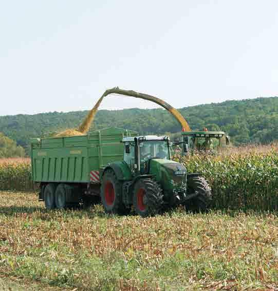 Bardzo mocny wczesny wigor, tolerancja na chłody i intensywny wzrost początkowy pozwalają na wczesne siewy PIRRO i wykorzystanie odmiany w rejonach najtrudniejszych klimatycznie do uprawy kukurydzy.
