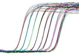 PCR w czasie rzeczywistym (Real Time PCR) czyli qpcr