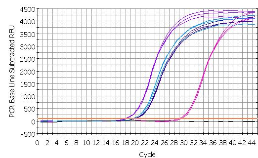 IL1-b vit RPLP0 con RPLP0 vit IL1-b con Microbiology and