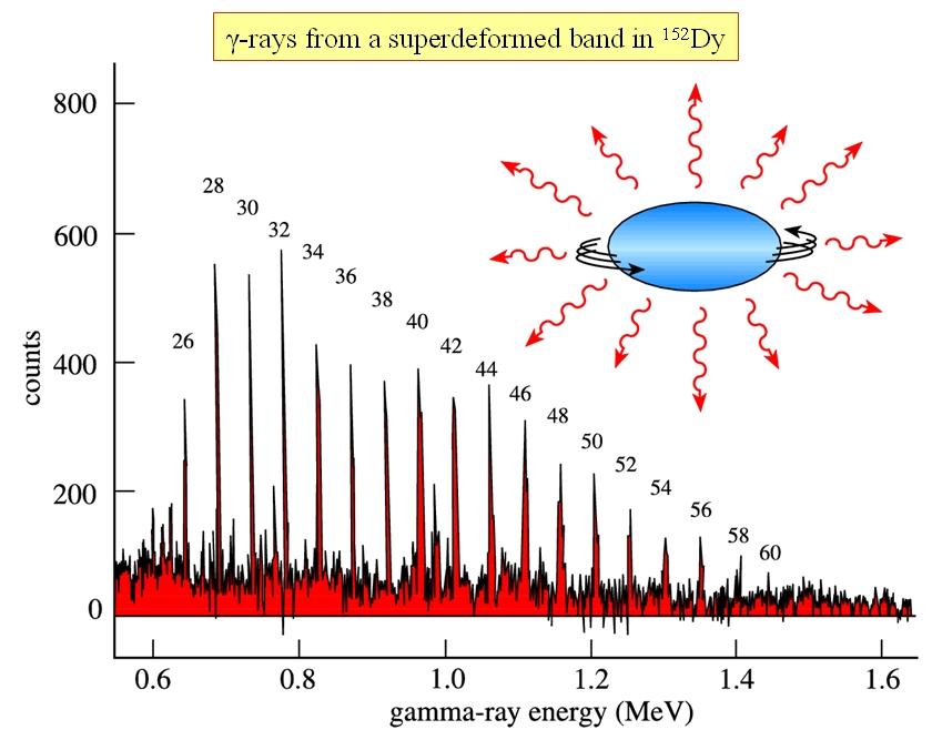 Widmo kwantów gamma dla 152 Dy Dla pasm rotacyjnych energie kwantów gamma przy przejściach między kolejnymi stanami