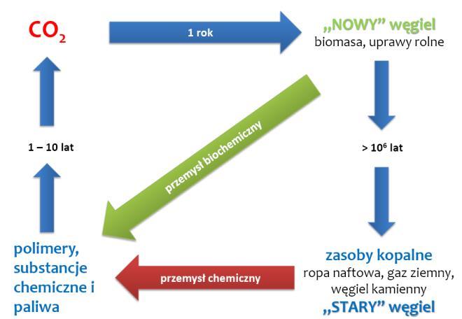 Rys. 4. Obieg węgla zawartego w wyrobach przemysłu chemicznego i biochemicznego Źródło: Narayan R.