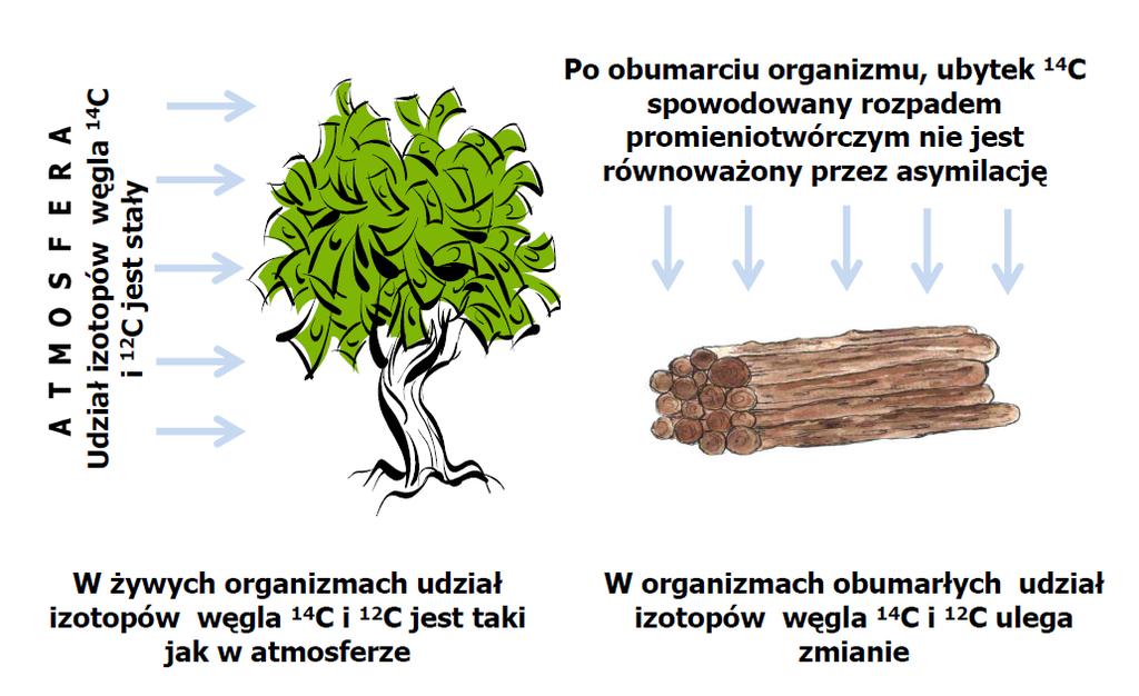 Załącznik 3 Metoda oznaczania wieku związków węglowych na podstawie ilości radioaktywnego izotopu węgla 14 C Do oceny materiałów opakowaniowych pod kątem udziału w nich surowców odnawialnych