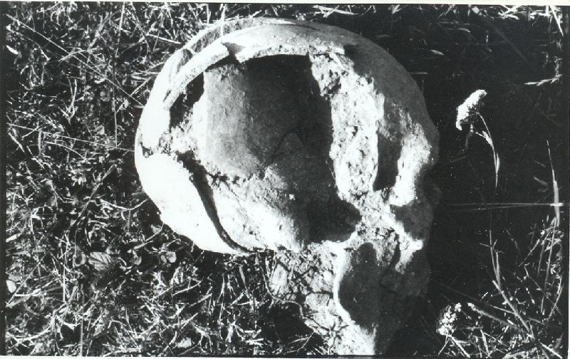 stanisławowskim: Dołha Wojniłowska, Kuty, Ludwikówka, Mariampol, Pasieczna, Pawlikówka, Podszumlańce, Słobódka Konkolnicka, Szerokie Pole, Szeszory; w województwie tarnopolskim: Berezowica Mała,