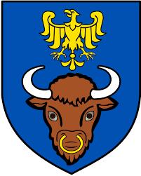 Burmistrz Miasta