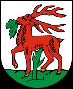 eu Burmistrz Miasta