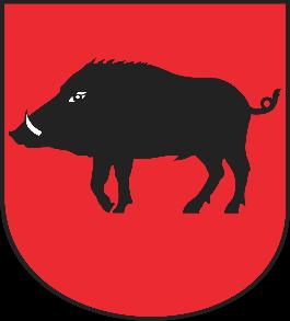 Miasta www.leczna.
