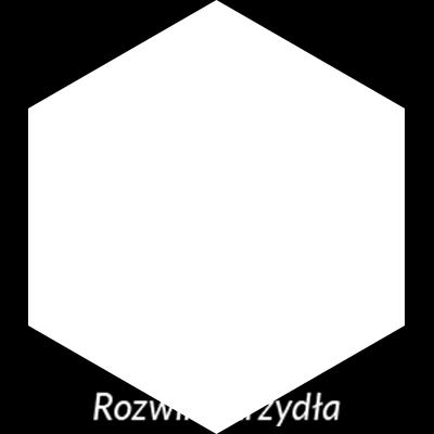WYBRANI