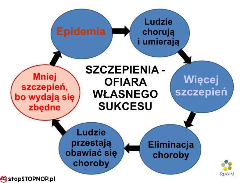 W Europie szczepienia ochronne są prowadzone od ponad 200 lat. W ostatnich dziesięcioleciach przyczyniły się do spadku zachorowań na choroby zakaźne, a niektóre wręcz wyeliminowały np. ospę prawdziwą.