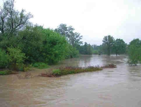 Stowarzyszenie Hydrologów Polskich.