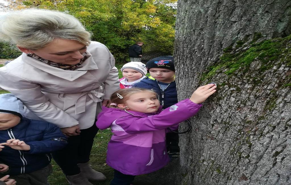 Niektóre dzieci słyszały muzykę inne zwierzęta w drzewie,a jeszcze inne