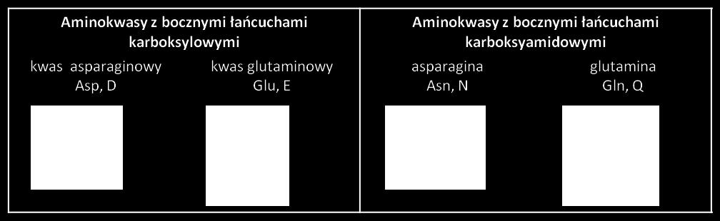 cysteina, tyrozyna, prolina); aminokwasy egzogenne nie syntetyzowane przez określony organizm (fenyloalanina, izoleucyna, leucyna, walina, lizyna, metionina, arginina, treonina, histydyna, tryptofan).