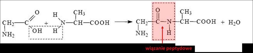 rozpuszczalnikach polarnych. W rozpuszczalnikach niepolarnych lub mniej polarnych (np. etanol, aceton) są słabo rozpuszczalne.