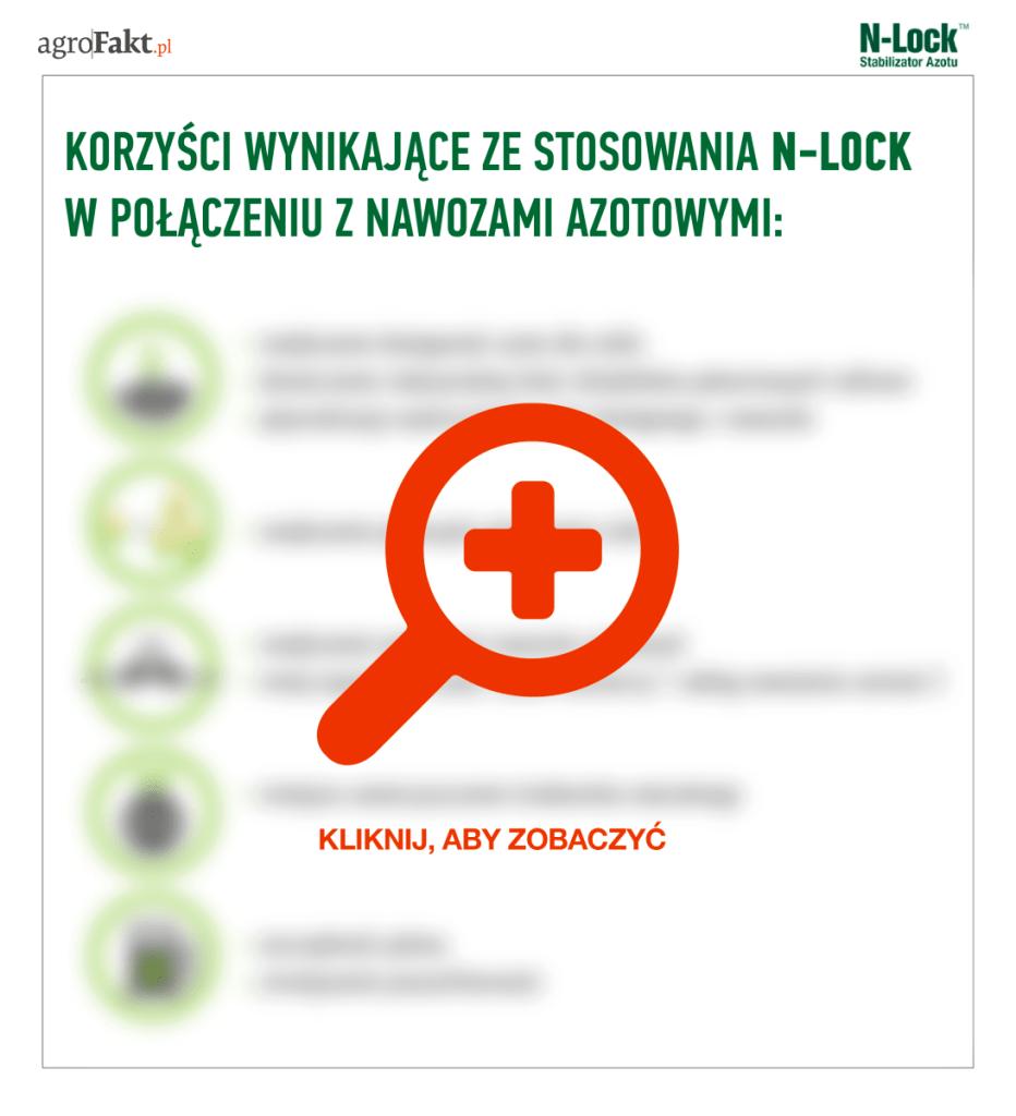 .pl https://www..pl Korzyści wynikające ze stosowania N-lock w połączeniu z nawozami azotowymi.