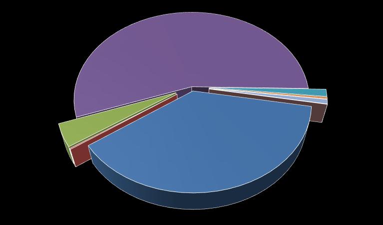 UDZIAŁ POSZCZEGÓLYCH JEDOSTEK TRASPORTOWYCH kontenery 30'; 28 412; 4,12% kontenery 25'; 1 167; 0,17% kontenery 40'; 384 463; 55,78% 2013 kontenery 20'; 258 189; 37,46% kontenery 45'; 9 115; 1,32%