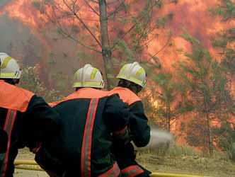 Ochrona głowy Forest Fire / Gaszenie pożarów w lasach Wyposażenie podstawowe: skorupa wentylowana, pasek podbródkowy 3 pkt, gogle z responderem.