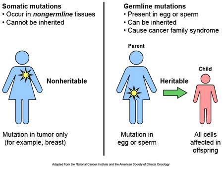 Nowotwory sporadyczne versus dziedziczne.