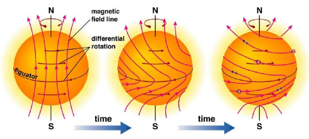 Evolution of Solar Magnetic Field During the Solar Cycle Solar Minimum Dipole Magnetic Field No Sunspot Solar Maximum Toroidal Magnetic Field Many Sunspots