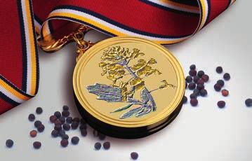 SY Medal Rzepak na medal SY Polana Słowiański charakter,,,,,,,, SY Medal % 00%, 0-0 % wzorca SY
