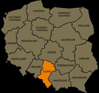 Polski 12,0% populacji